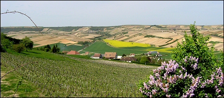A view from Sancerre